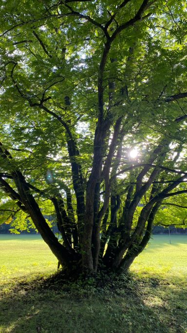Licht und Schatten Licht und Schatten